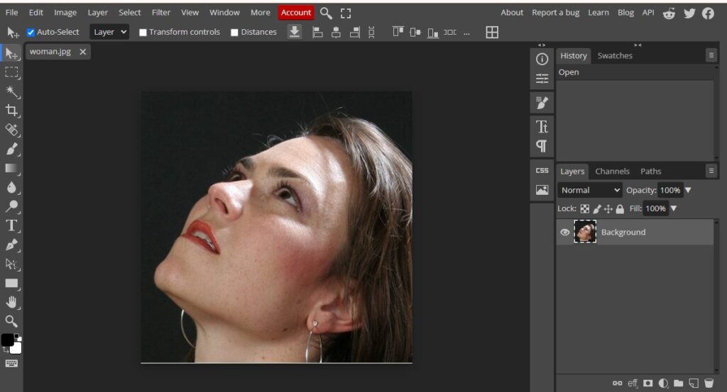 Photoshop Alternatives Free Photoshop Alternative 1 Free Photoshop Alternative