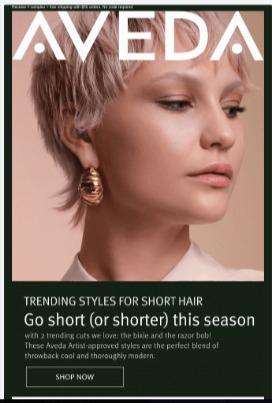 Email Design Inspiration Haircare Email Design Inspiration Haircare Email Design Inspiration