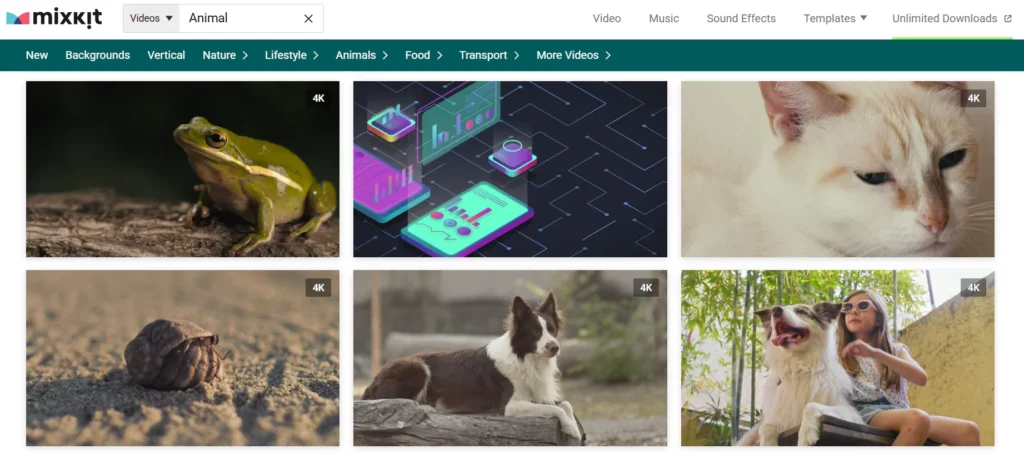 Stock Video Websites