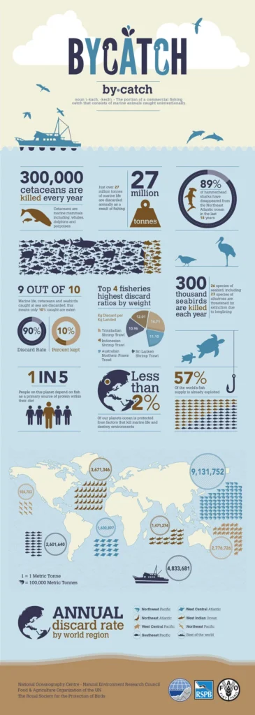 Infographic Examples